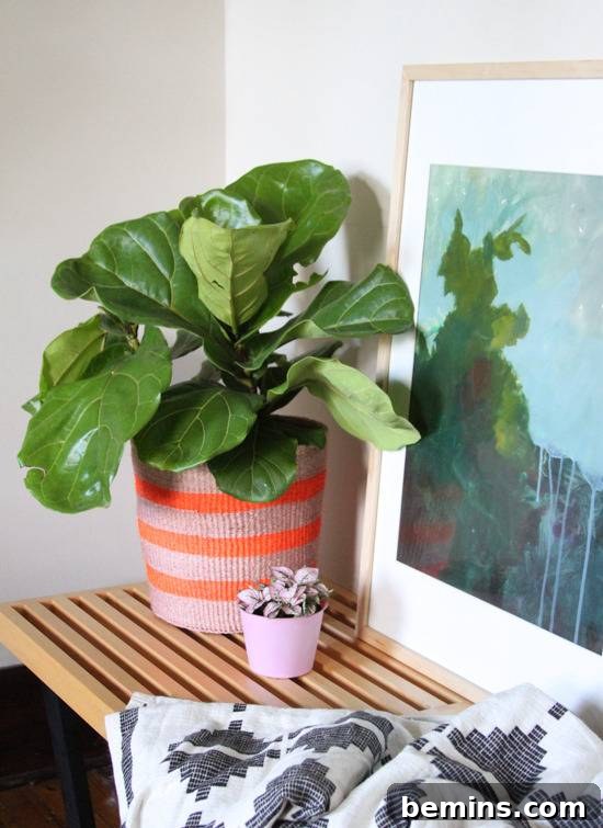Potted plant near the frame.