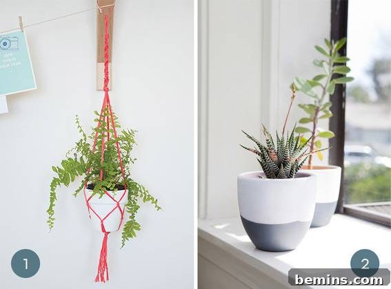 Creative Container Gardening: 10 DIY Planter Ideas 3 Two succulent planters with different designs.