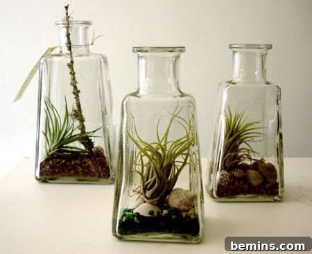 Plants growing inside glass