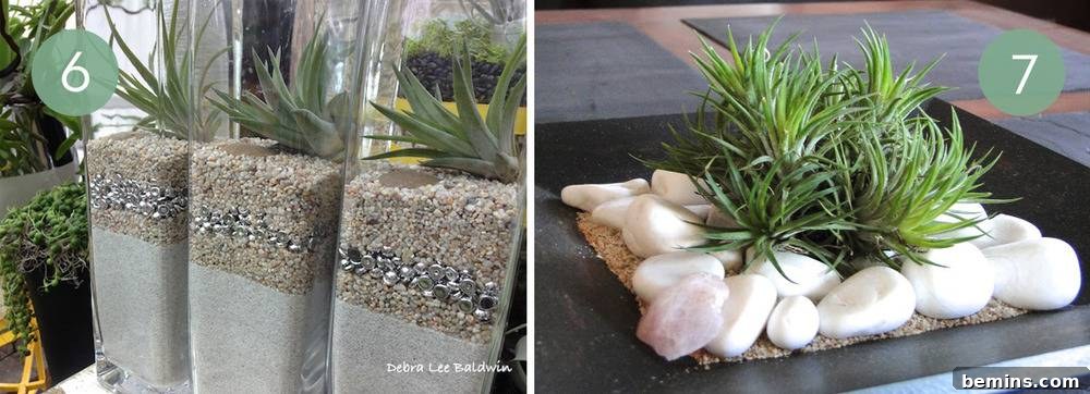 Unique vessels for air plants.