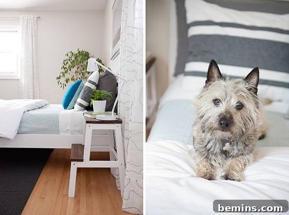 Scandinavian Sanctuary: Bedroom and Bath Transformation 14 A white bed with striped pillows inviting a dog to sit on it, emphasizing the cozy and welcoming atmosphere.
