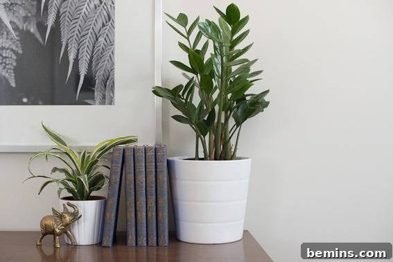 Scandinavian Sanctuary: Bedroom and Bath Transformation 16 Five books sitting on a surface between two potted plants, demonstrating the room's minimalist decor.