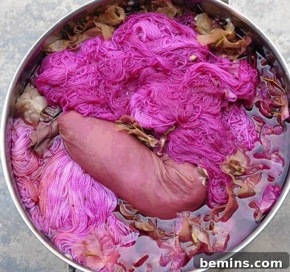 14 Textile DIYs to Level Up Your Craft Game 14 A pot filled with pink substance, hinting at a natural dyeing process in action.