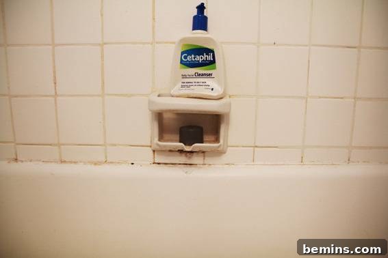 Years of dirt and scum in the bathroom: A magnified view of grime and buildup highlighting the need for deep cleaning or renovation