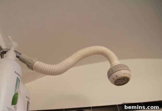 Snake shower head: An outdated and unusual shower head that needed to be replaced during the bathroom renovation