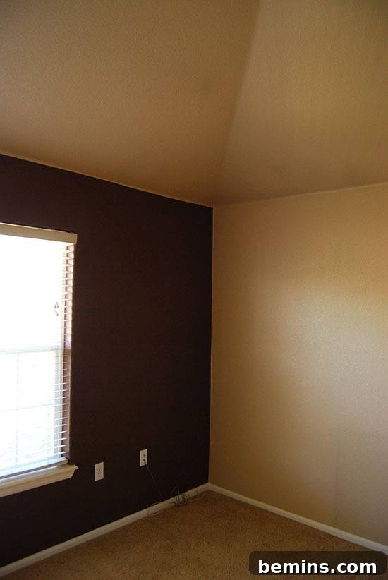 From Office to Oasis: A Geometric Nursery Transformation 3 Geometric Nursery Before