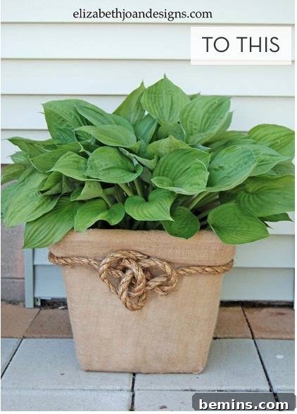 A green full plant in a clay pot with a rope tied in a knot around it.