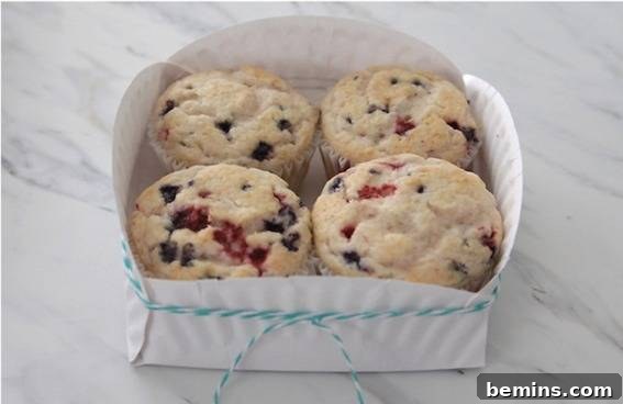Delicious cookies presented in a cleverly folded paper plate basket.