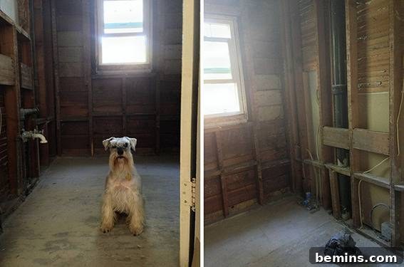 29th Avenue: From Bland to Bold - A Bathroom's Dramatic Transformation 5 Wooden empty storeroom with dog - Planning the Renovation