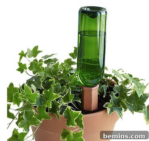 A wine bottle used as a watering device for a planter, showcasing aesthetic integration.