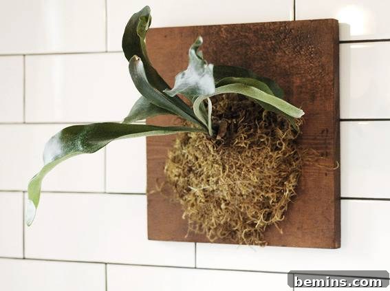 A Touch of Nature: A Plant Adds a Pop of Green and Organic Texture to the Bathroom