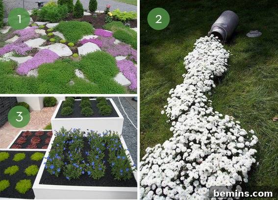 Unique garden design ideas for your home, featuring creative landscaping with rocks and ground cover.