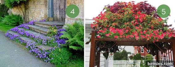 10 creative ideas for your garden: transforming stairs into a beautiful tiered garden display.