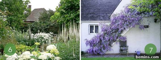 Unique garden ideas: Create a stunning impact with a single color palette garden.
