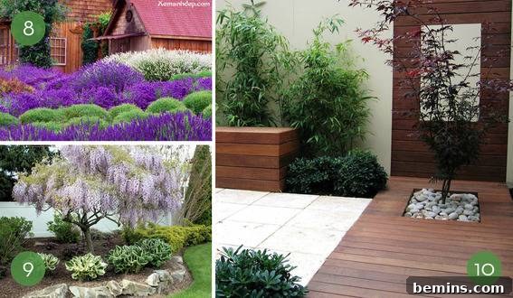 Beautiful garden inspiration: Planting strips of different colored flowers for vibrant visual interest.