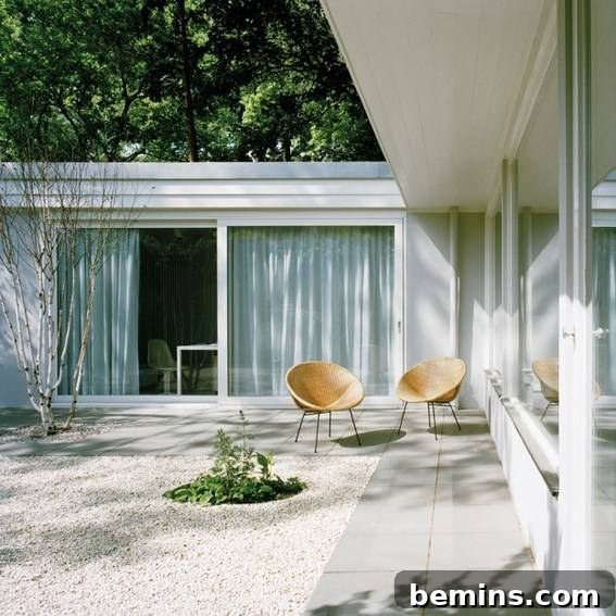 Backyard along with two chairs.