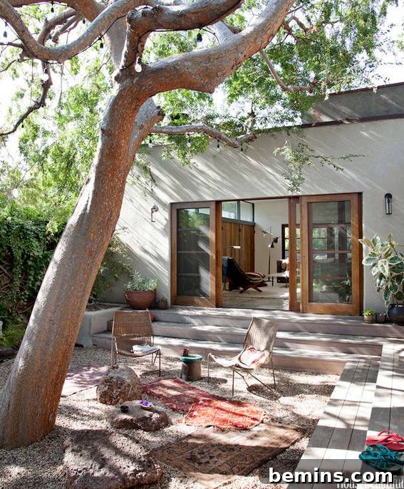 A backyard with steps and a giant tree overhanging the whole yard.