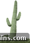 Crafting a 3D Photo Display 4 A solitary large cactus with two arms.