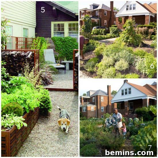 Grass-Free Yards: 11 Stunning Landscape Alternatives 5 Gravel Paving Lawn Alternative