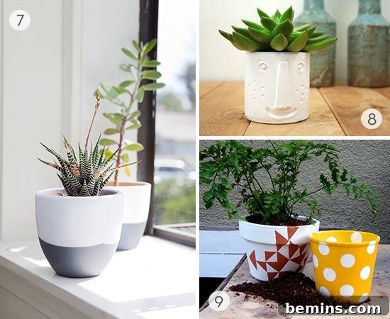 Craft Your Summer Garden: 20 DIY Planter Ideas 4 A split image showcasing various small plants in decorative pots.