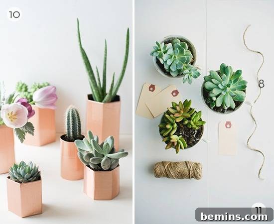 Craft Your Summer Garden: 20 DIY Planter Ideas 5 Various succulents beautifully displayed in a range of creatively crafted containers.