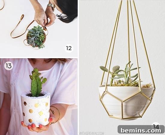 Craft Your Summer Garden: 20 DIY Planter Ideas 6 A creative collage showcasing various designs of potted plants and DIY planter ideas.