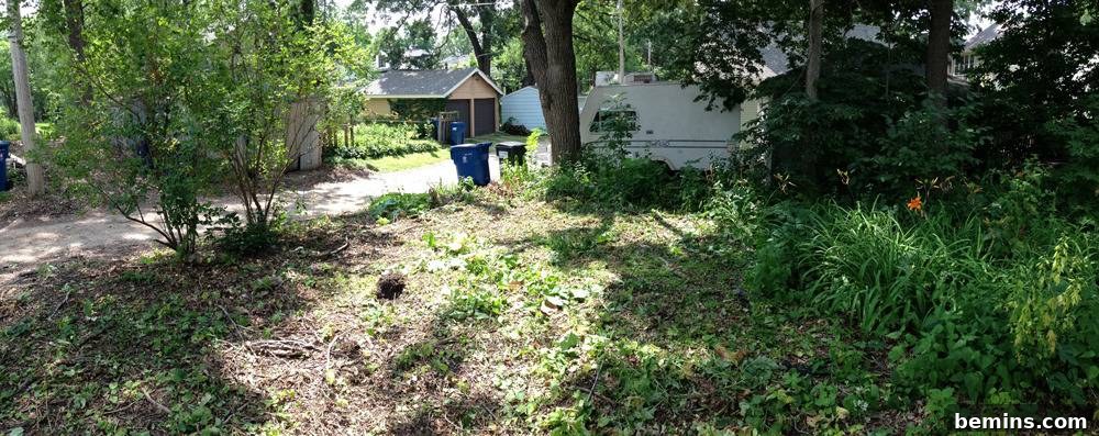 An in-progress garden/yard transformation: Illustrating the initial stages of the backyard renovation.