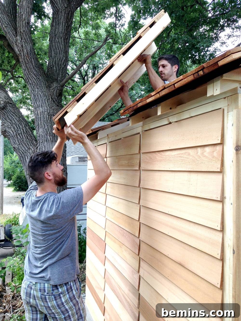 A wooden shed being built: Capturing the construction progress of the backyard storage solution.