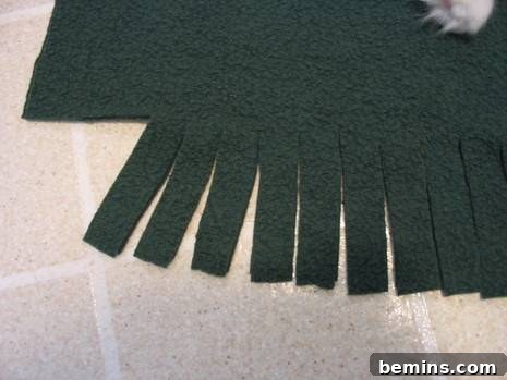 It displays that how to turn old sweatshirt to pet blanket.