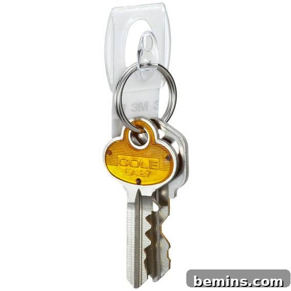 Two keys hang from a keychain.