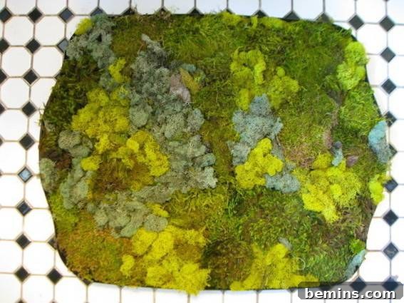 An abstract picture with green leaves and a black and white tile design, representing a moss and stone bath mat.