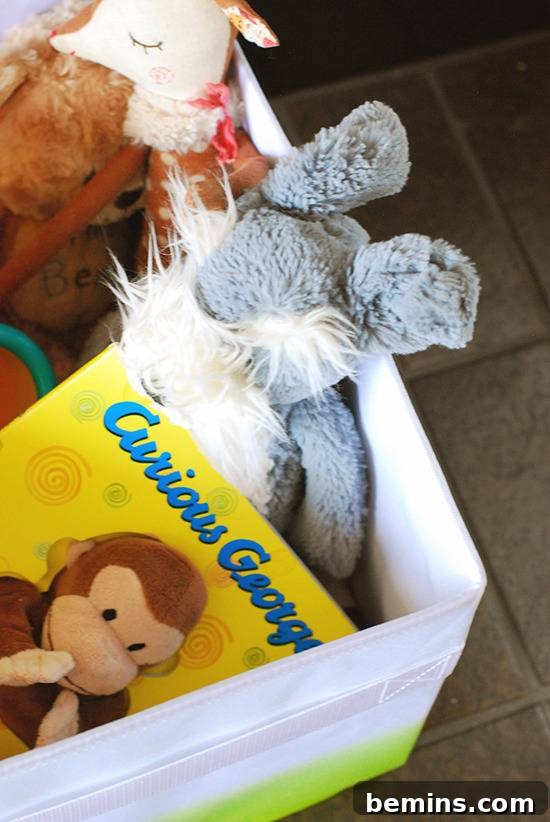 Toys Stored in Fabric Box