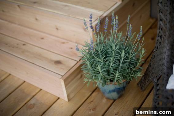From Cluttered to Chic: A Backyard Deck Transformation 17 Green plant next to the wooden steps.