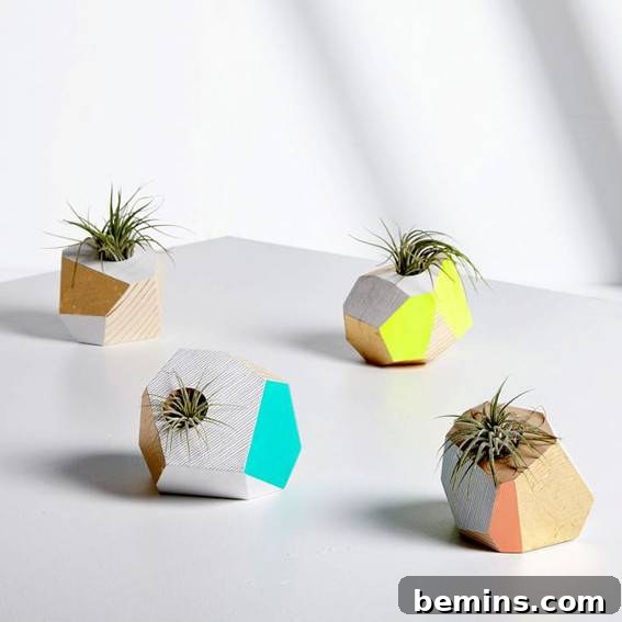 Four geometric blocks with sprigs of spider plants.