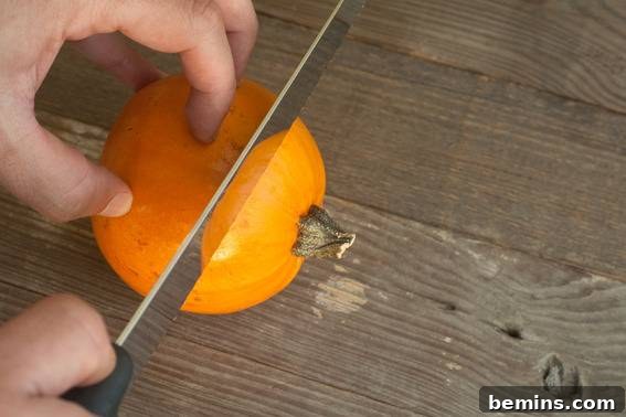 Arrangement of DIY pumpkin cups, showcasing their charming and rustic appeal.