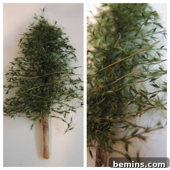 A small tree design is shown at two different angles.
