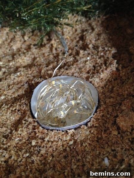A round metal item is sitting in the dirt.