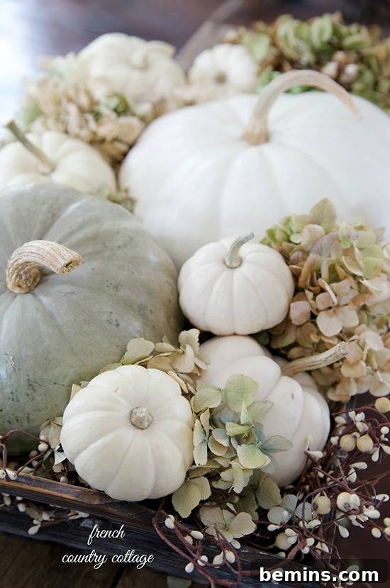 Nature's Bounty: A Thanksgiving Table Transformation 3 Natural Thanksgiving Table Decor with Pumpkins and Gourds