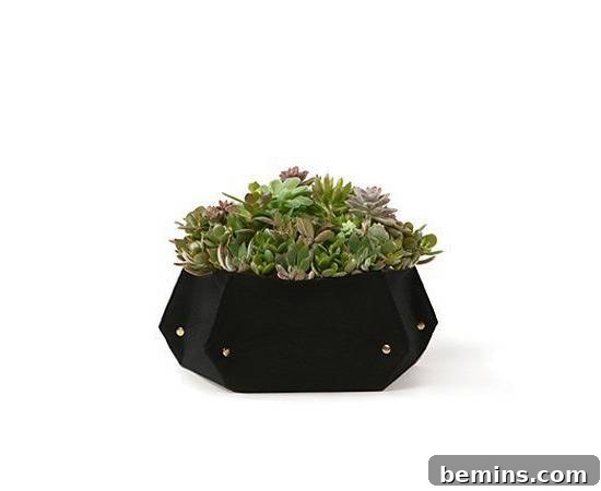 WallyGro Table Planter - Sustainable Indoor Gardening