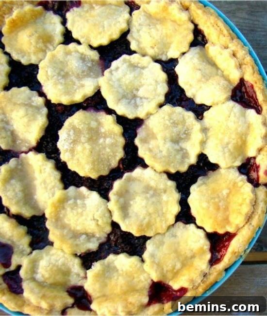 9 Recipes and Decoration Ideas to Elevate Your Thanksgiving Pie 7 Pie crust with star cutouts