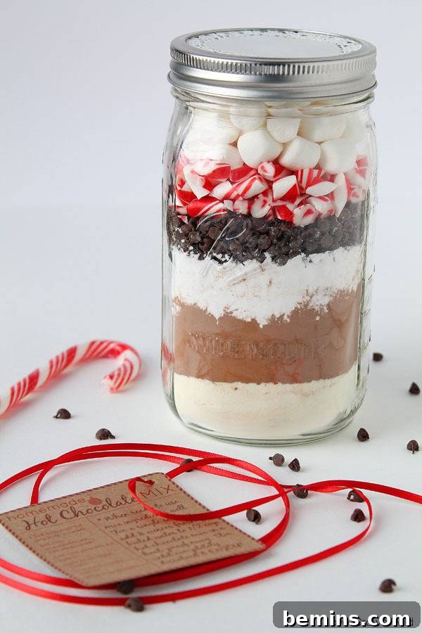 10 Genius Mason Jar Gift Ideas