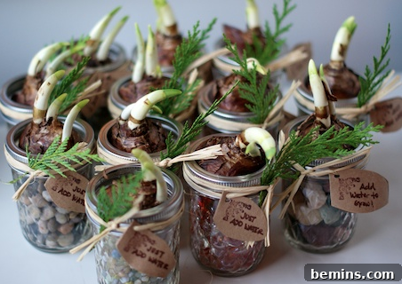 10 Genius Mason Jar Gift Ideas