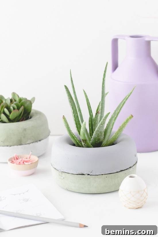 A collection of modern concrete planters showcasing different shapes and sizes