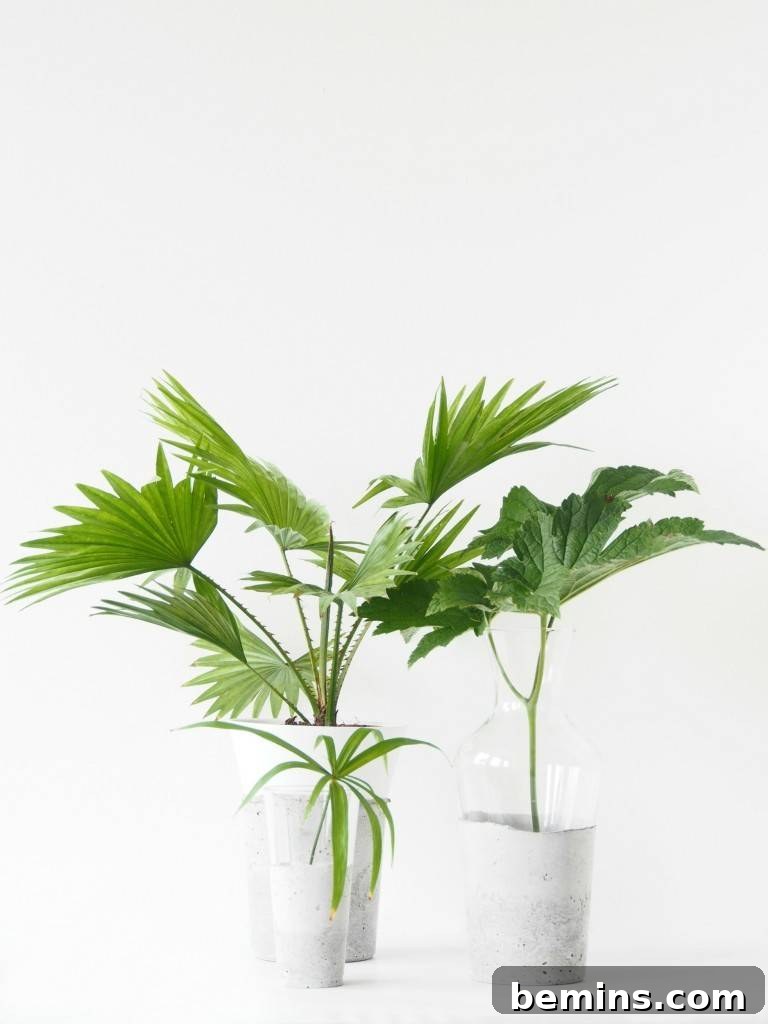 A collection of vases with concrete-dipped bottoms