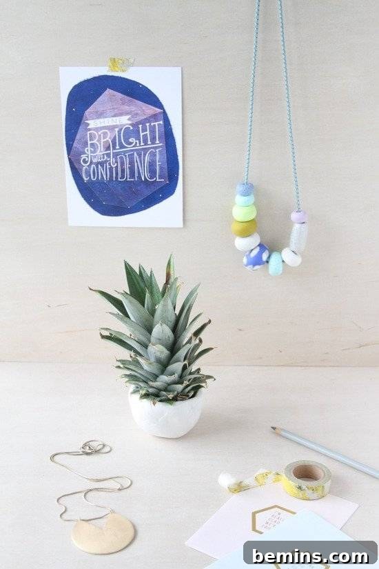 A little green plant and other decorations to improve an office.