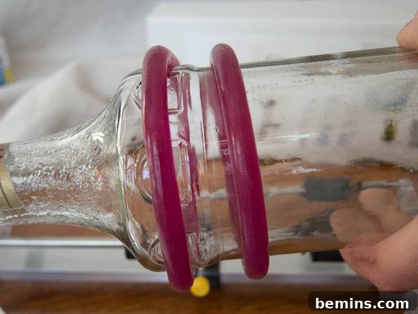 Which Bottle Cutter Reigns Supreme? A Definitive Review 44 A glass bottle turned horizontal with two fuschia rings on it.