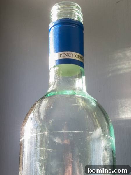Which Bottle Cutter Reigns Supreme? A Definitive Review 6 Glass bottle with a score line created by the G2.