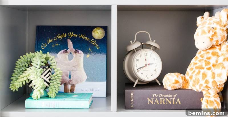 A charming display of books decorating nursery shelves, interspersed with a vibrant green plant, a cuddly toy, and a classic alarm clock, adding character and warmth to the room.