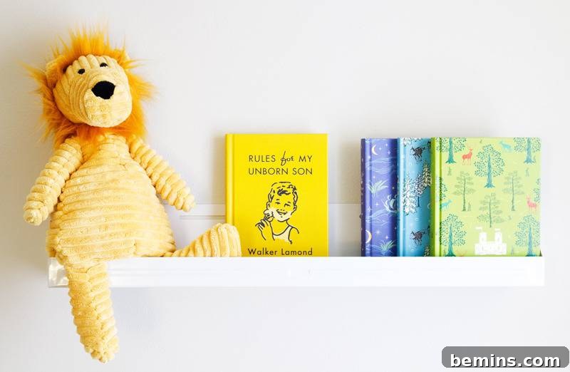 A charming nursery shelf displaying a collection of engaging children's books alongside a soft, cuddly stuffed lion, adding warmth and personality to the room's decor.