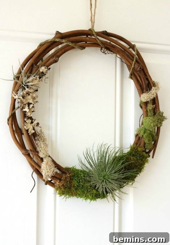 DIY Air Plant Magnets Project